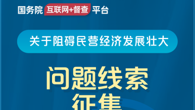 裸胸污国务院“互联网+督查”平台公开征集阻碍民营经济发展壮大问题线索